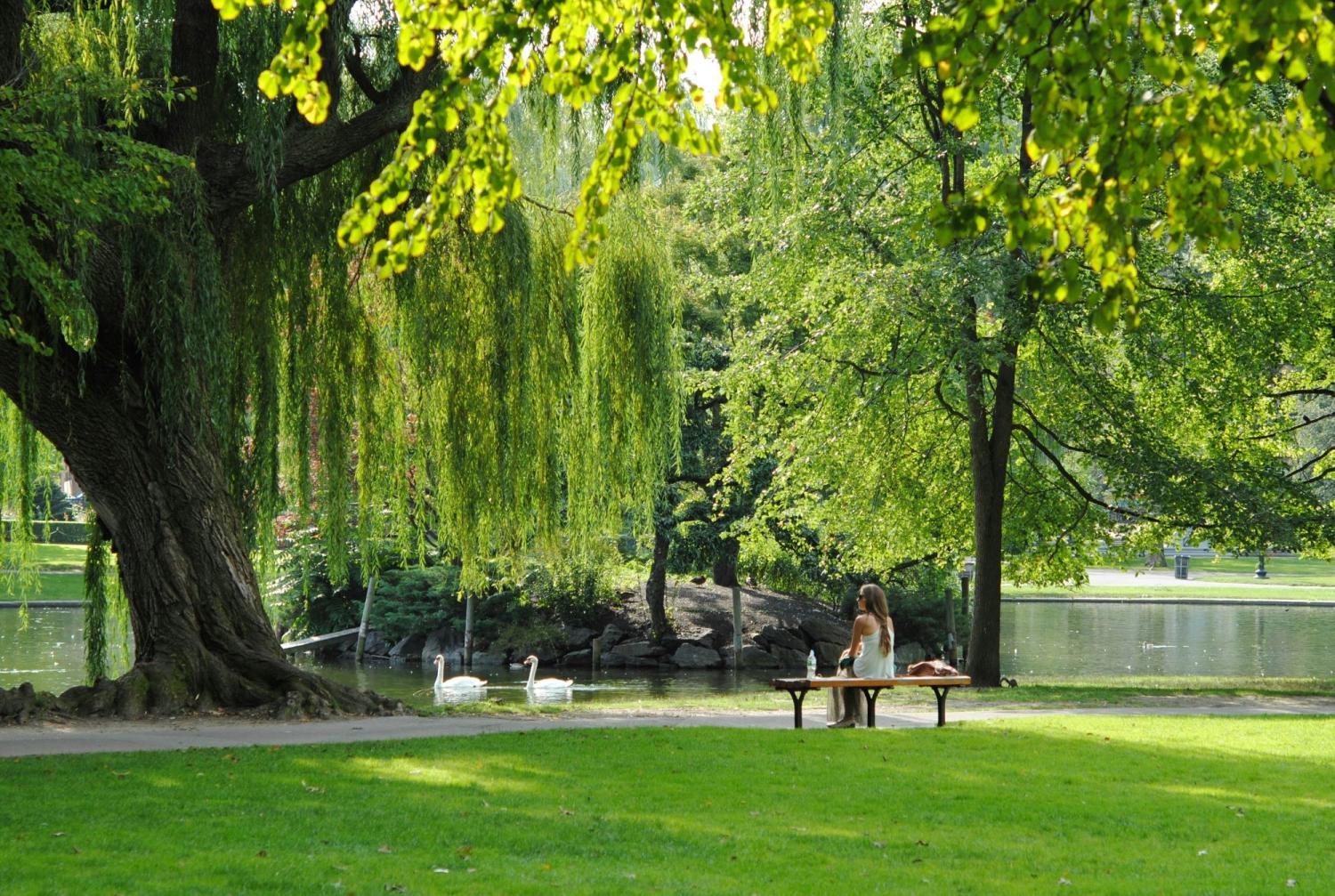 woman sitting on bench near stream in a park