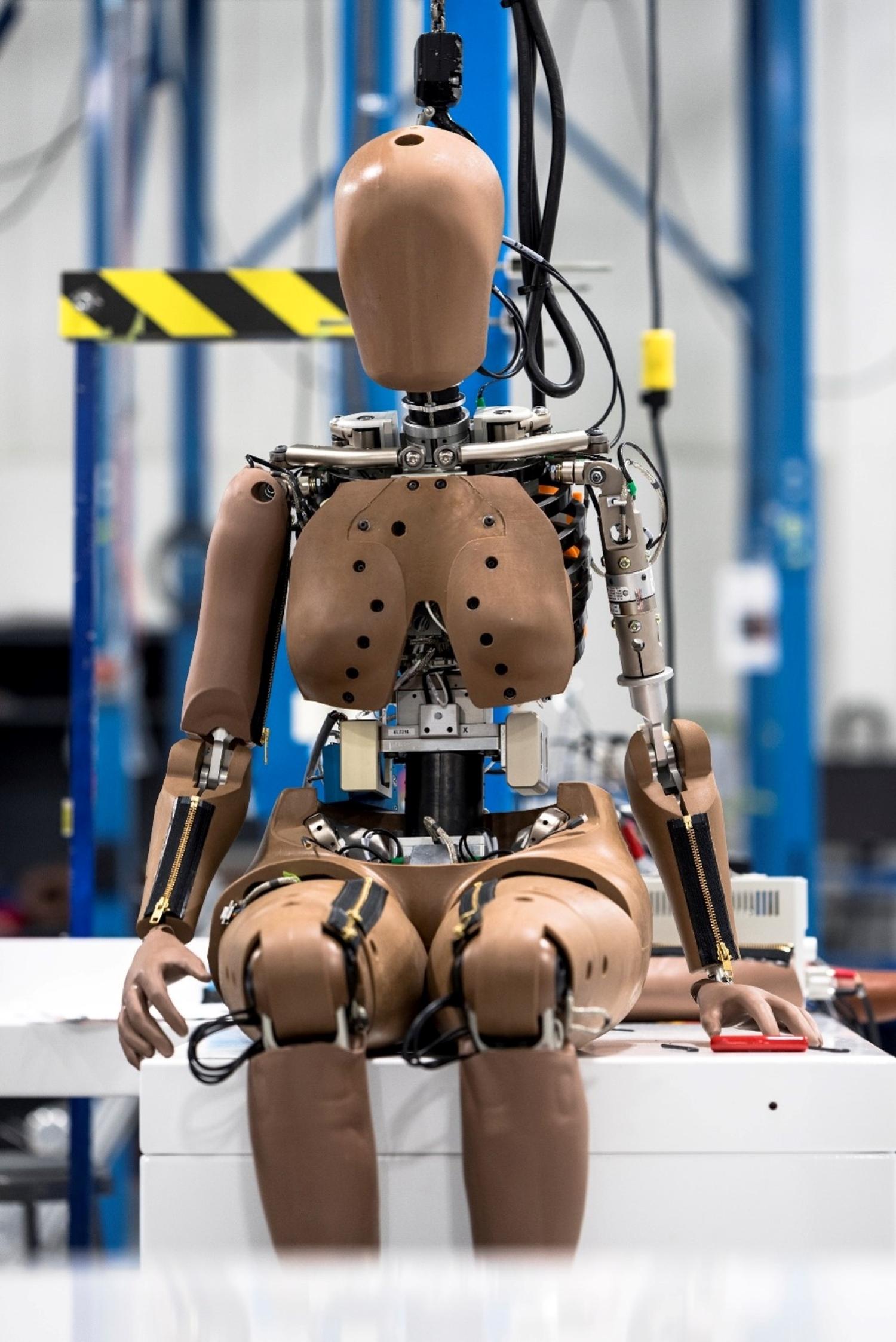 female crash test dummy