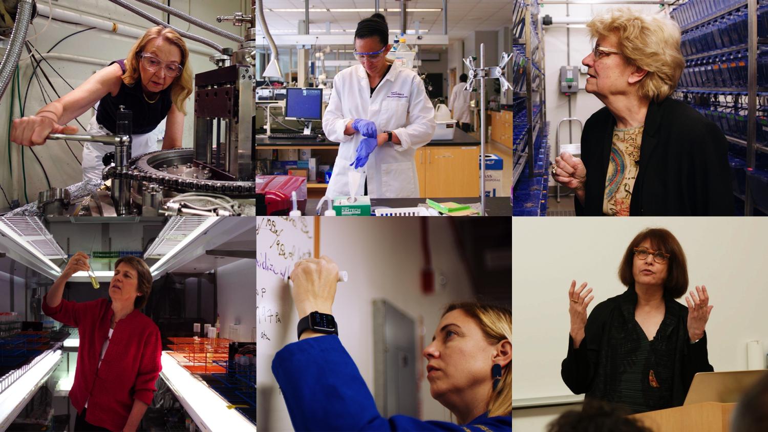 Mosaic of six female scientists at work