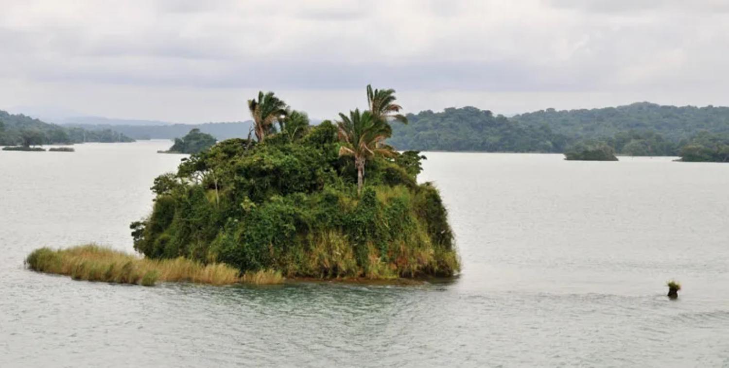 Gatun Lake in Panama Canal
