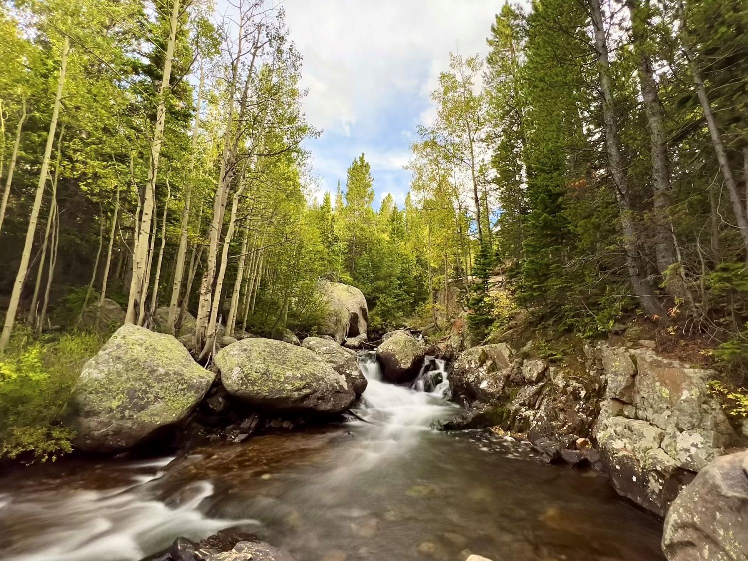 Colorado creek edged by green-leafed aspen