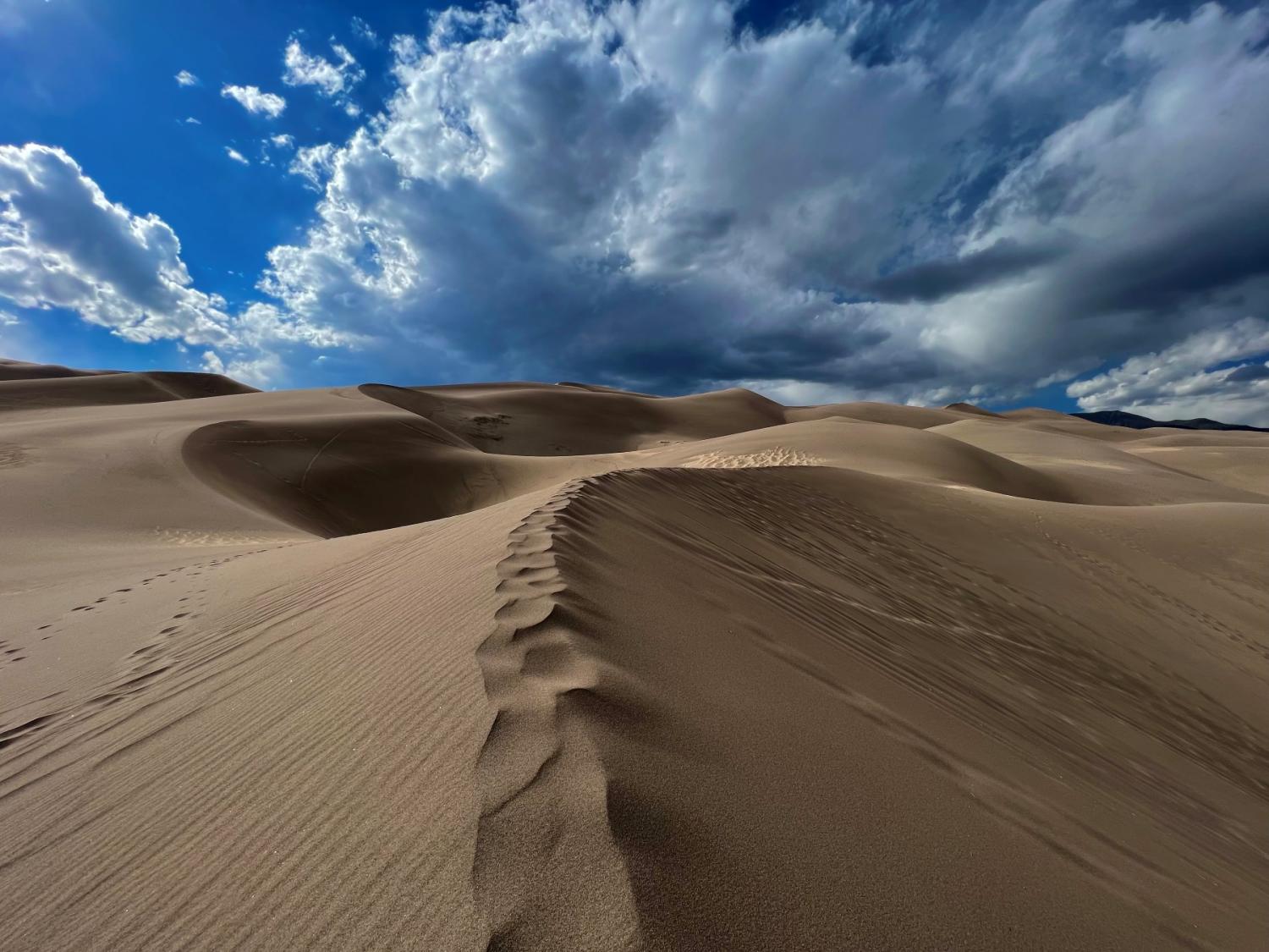 sand dune in Great Sand Dunes National Park under blue sky