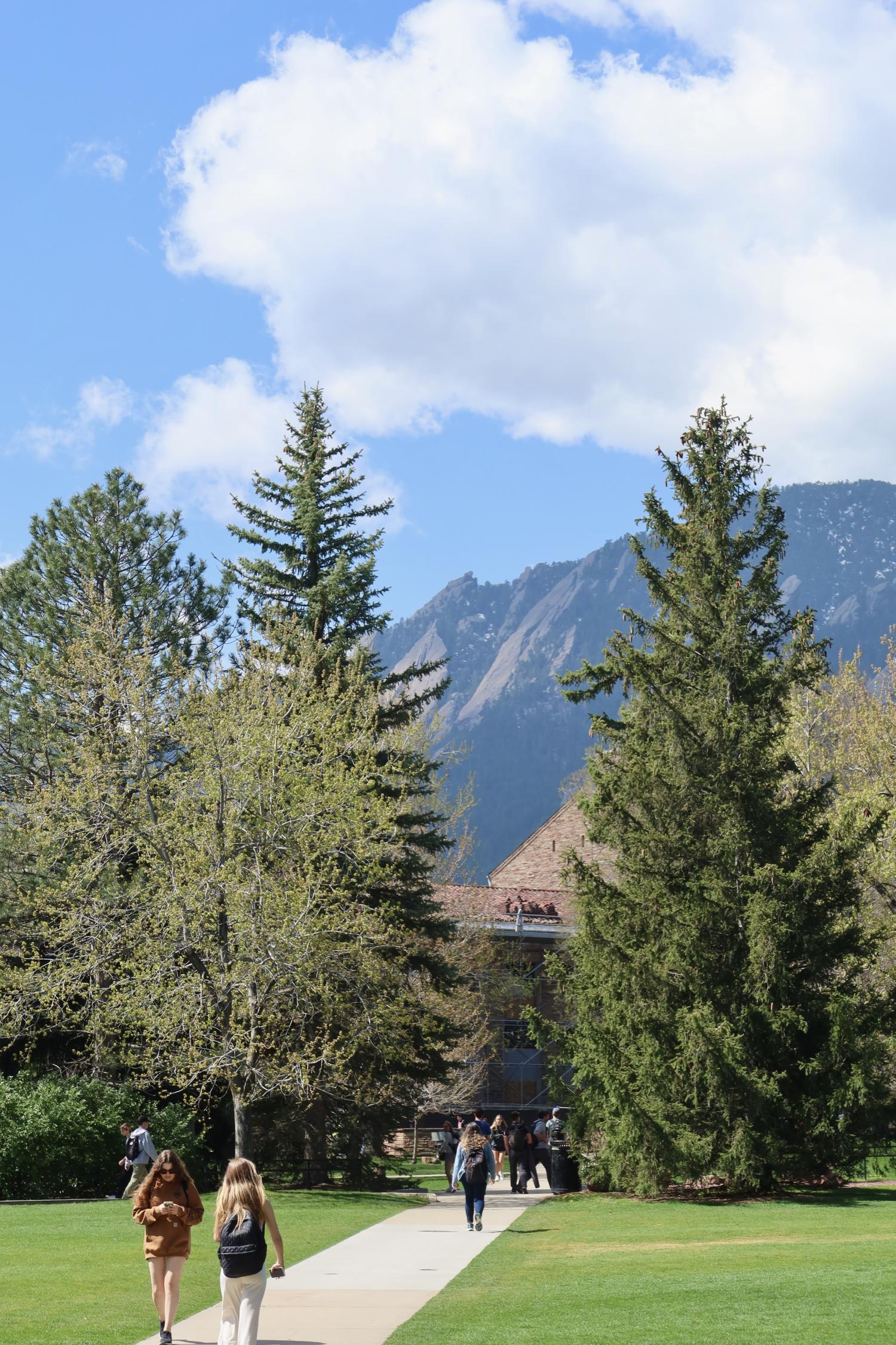 campus view of the mountains