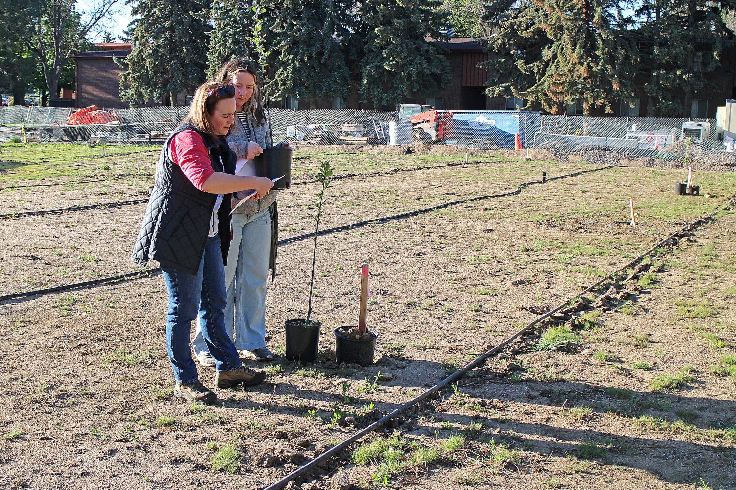 Amy Dunbar-Wallis and Tiffany Willis in apple orchard plot