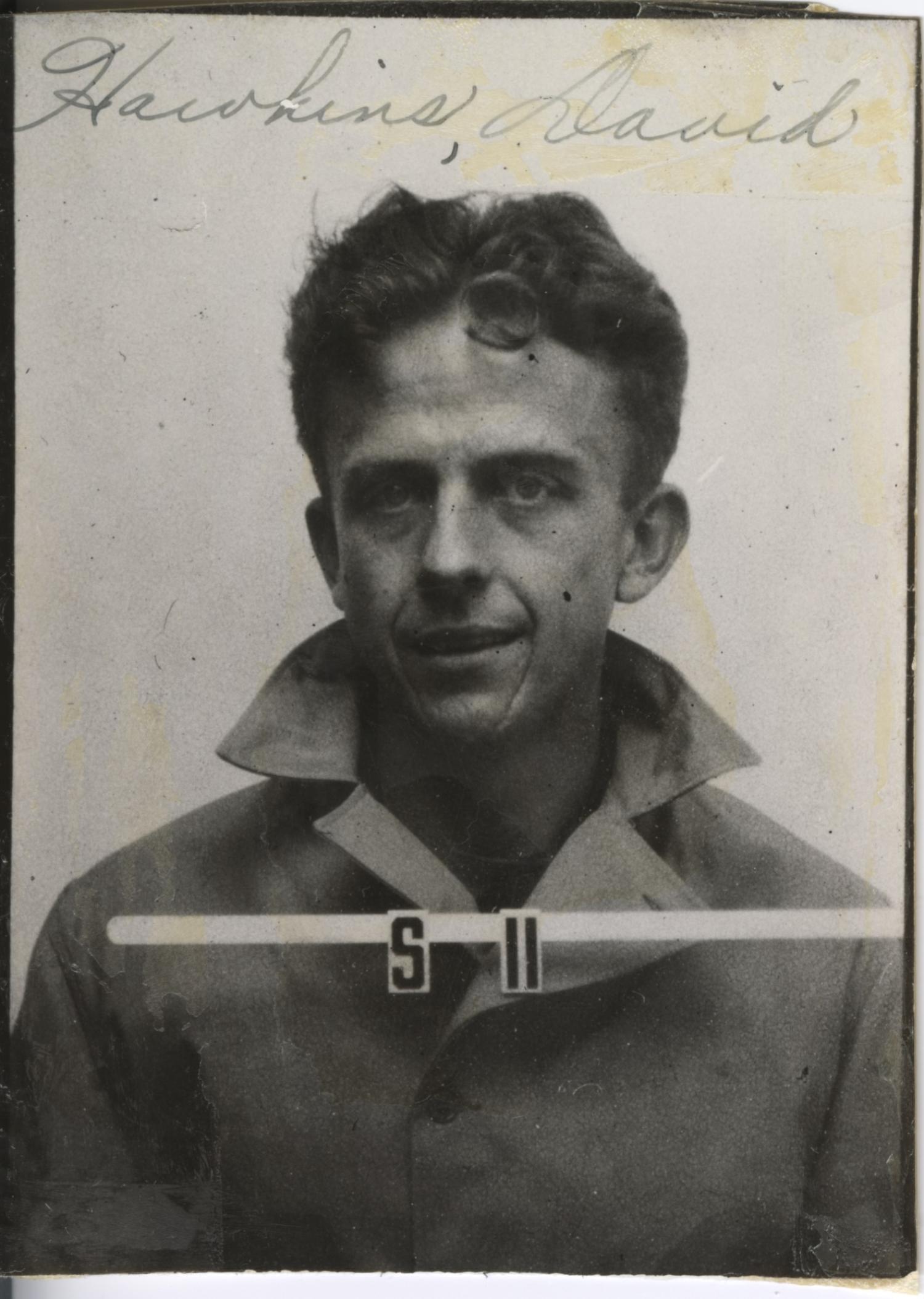 portrait of David Hawkins