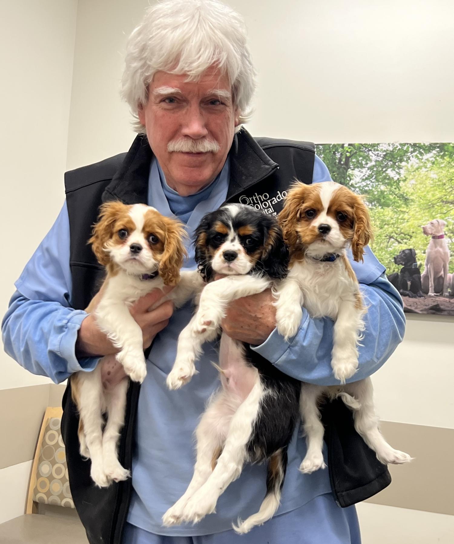 Kevin Fitzgerald holding three King Charles Spaniel puppies