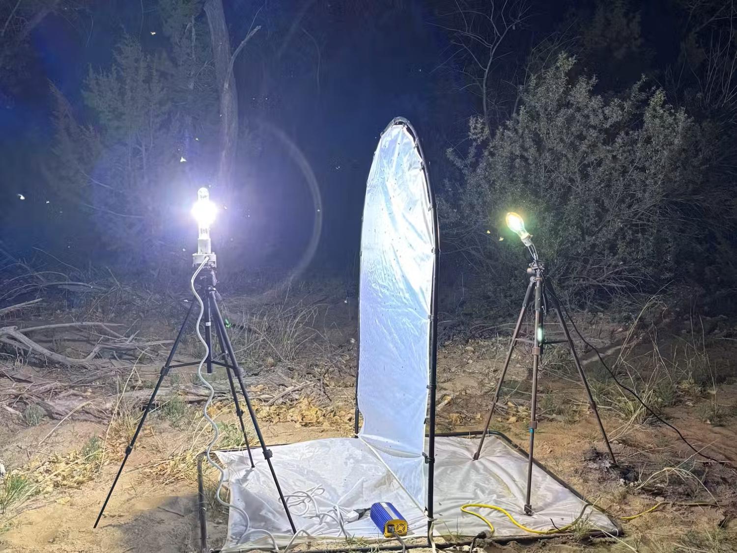 miller moth trap with reflective screen and lights