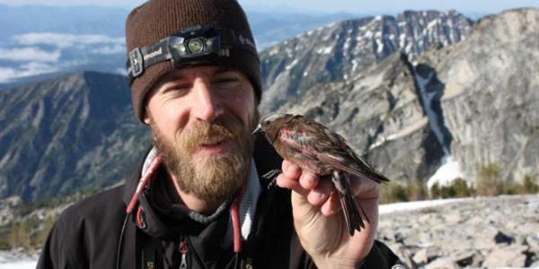 Researcher holding finch