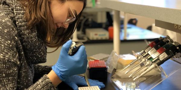 Sara Campione pipettes samples into a 96-well plate as part of her research on Burmese python liver genetics.