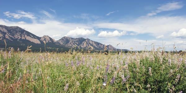 Mountain landscape