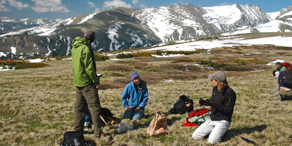 Sudings group on Niwot ridge