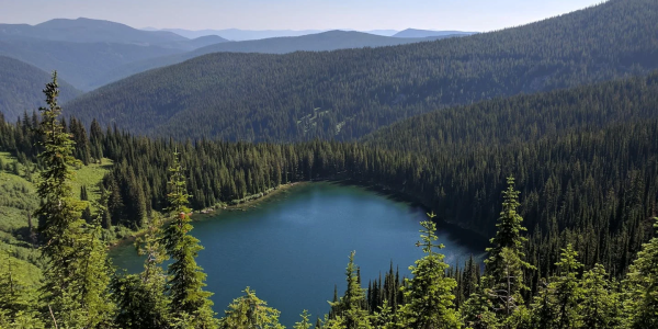 Mountain lake surrounded by evergreen forest