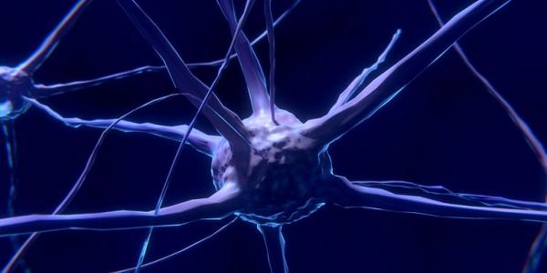 Stock image of a neuron