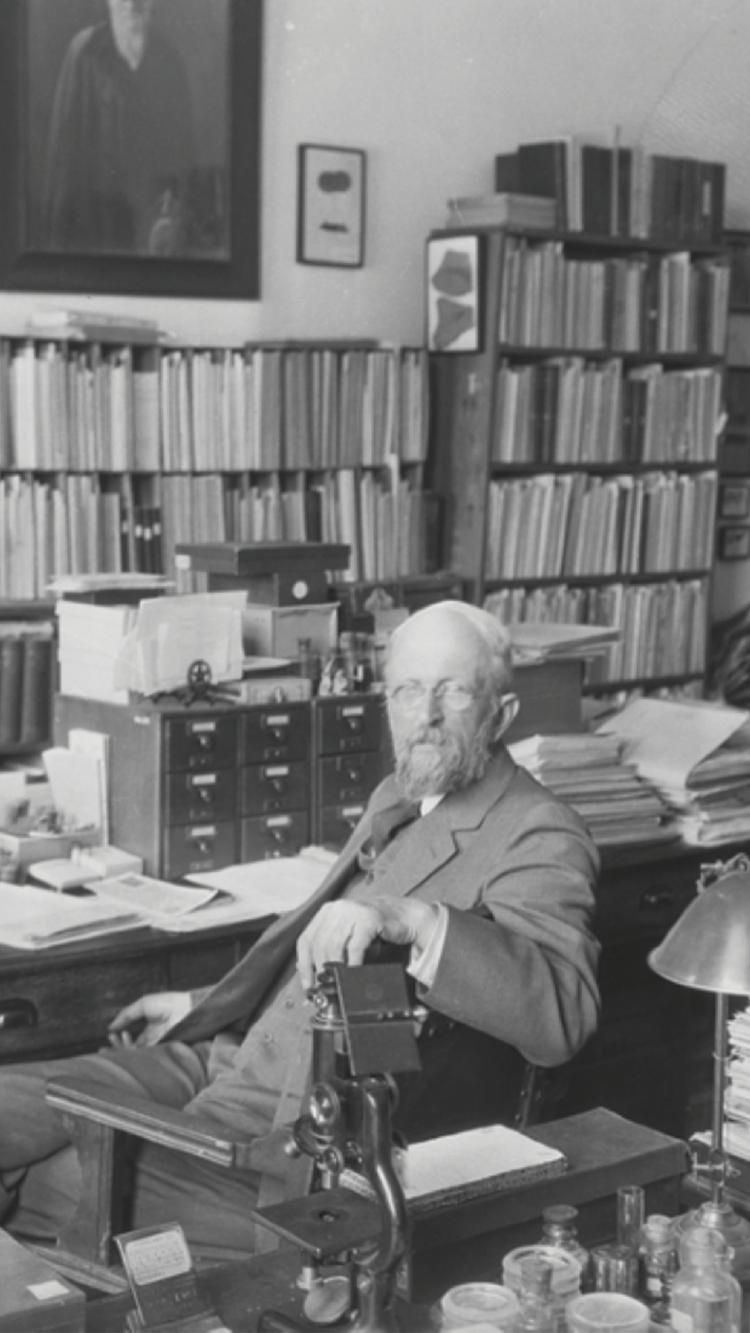 T.D.A. Cockerell in his study at the University of Colorado, Boulder