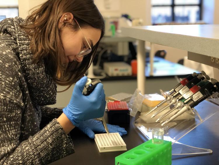 Sara Campione pipettes samples into a 96-well plate as part of her research on Burmese python liver genetics.