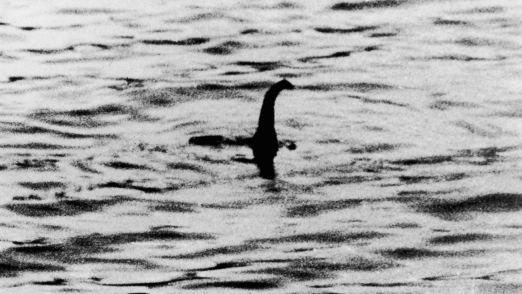 Loch Ness Monster surgeon's photo