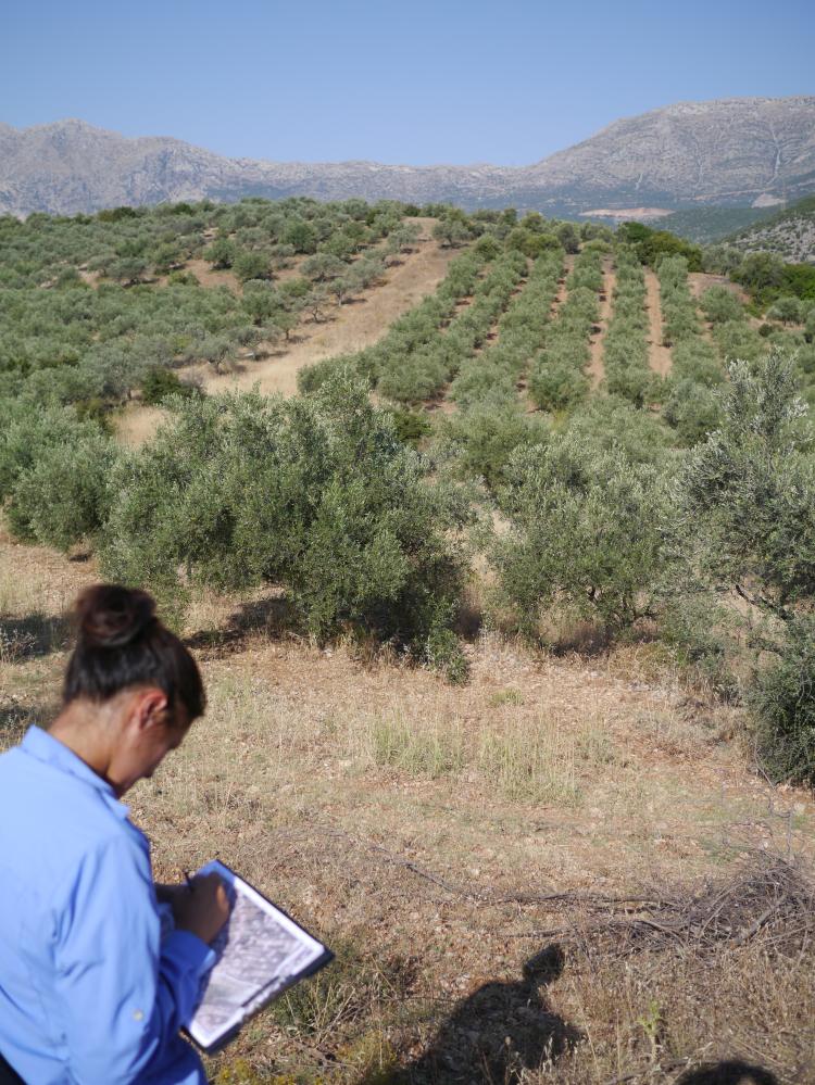 CU-Boulder graduate student Machal Gradoz at work in Greece. Photo by William Caraher.