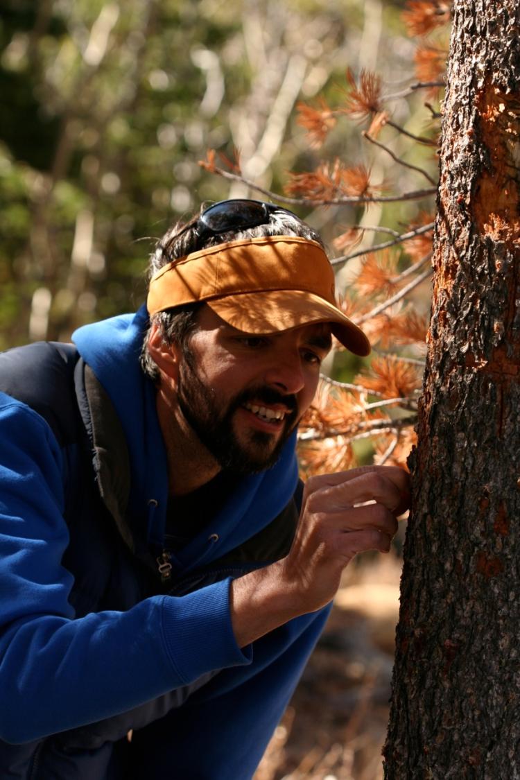 Scott Ferrenberg, a doctoral candidate in ecology and environmental biology, is first author on the paper published in the International Society of Microbial Ecology Journal. Photo by Jeff Mitton.