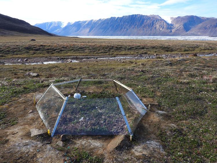 growth warming chambers