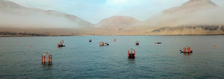 Mesocosms