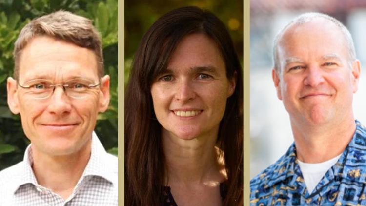 Researchers that contributed to this article.