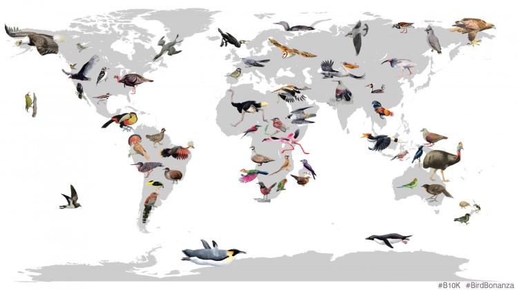 Bird map