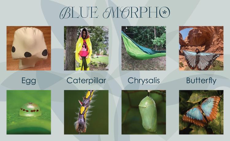 People enacting butterfly life cycle