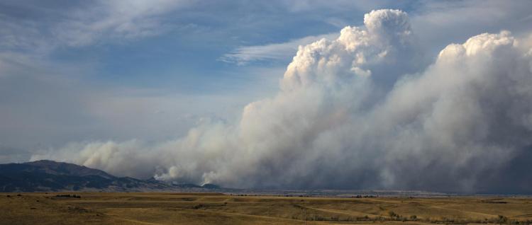 Calwood fire