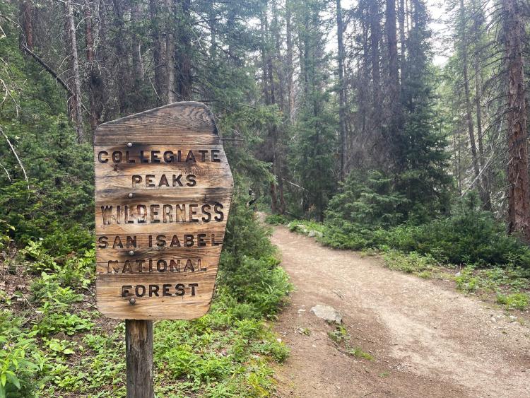 Sign for Collegiate Peaks Wilderness in Colorado