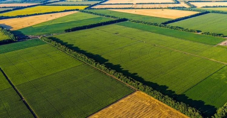 farm fields