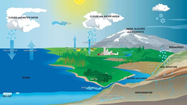 Water evaporates and rises up into the sky, condensing to form clouds. NASA, CC BY