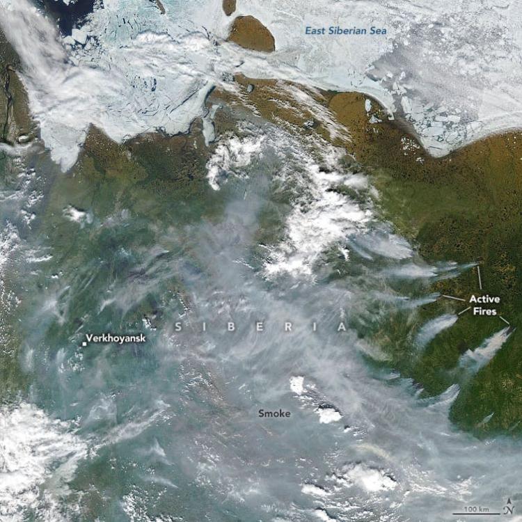 A satellite images shows thinning sea ice in parts of the East Siberian and Laptev Seas and wildfire smoke pouring across Russia
