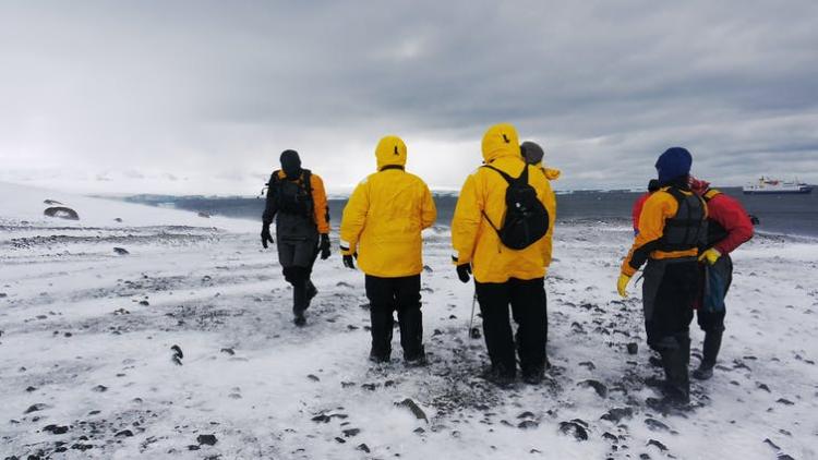 The peninsula is the most visited region in Antarctica. Shutterstock