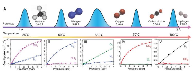 Graphs of pore size and gas molecules