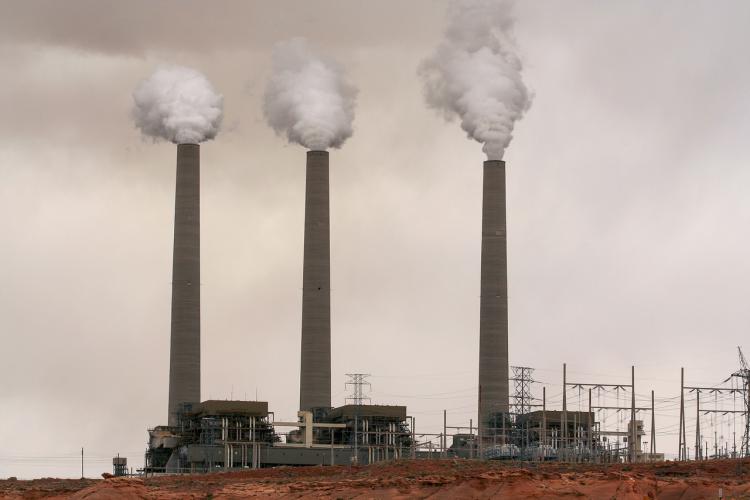 anthropocene