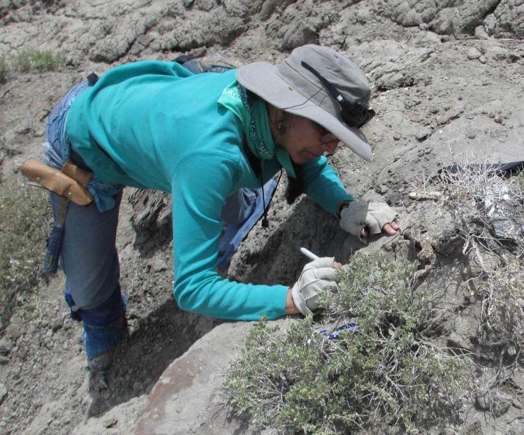 Karen Chin excavating fossils
