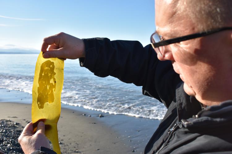 Markos with kelp
