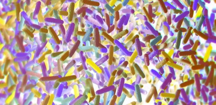 Microbiome