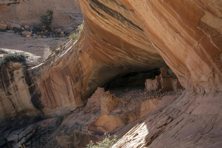 Bears ears
