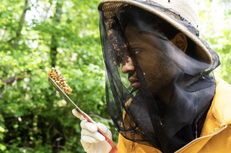 Dr. Sammy R. with honey
