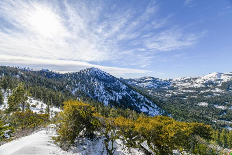 Study Area in the Sierra Nevadas
