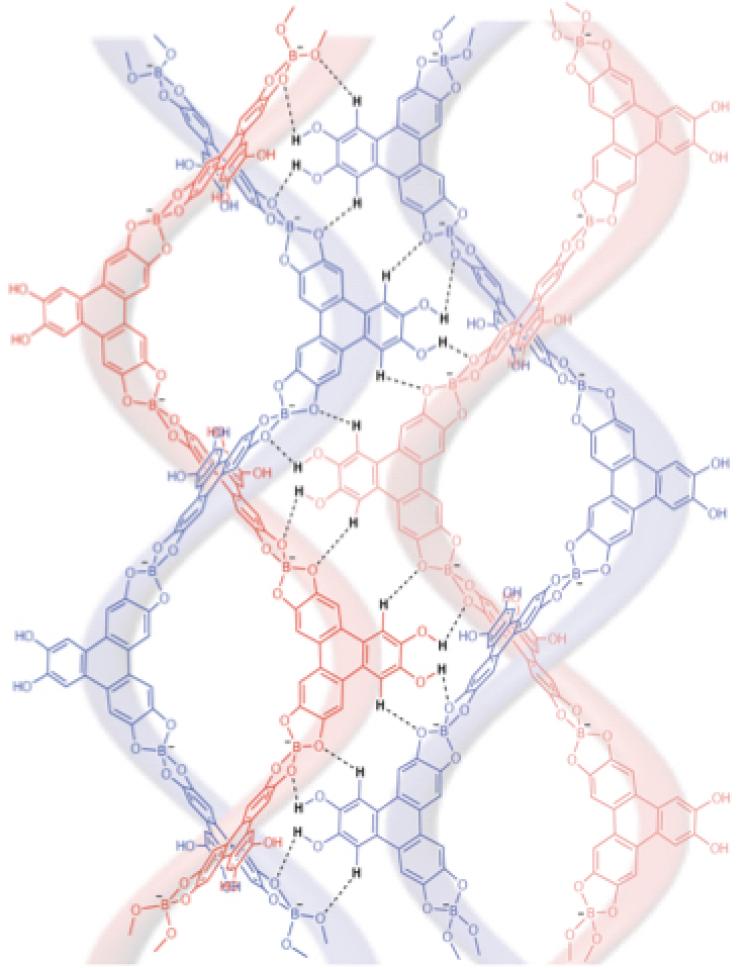 Strands of DNA