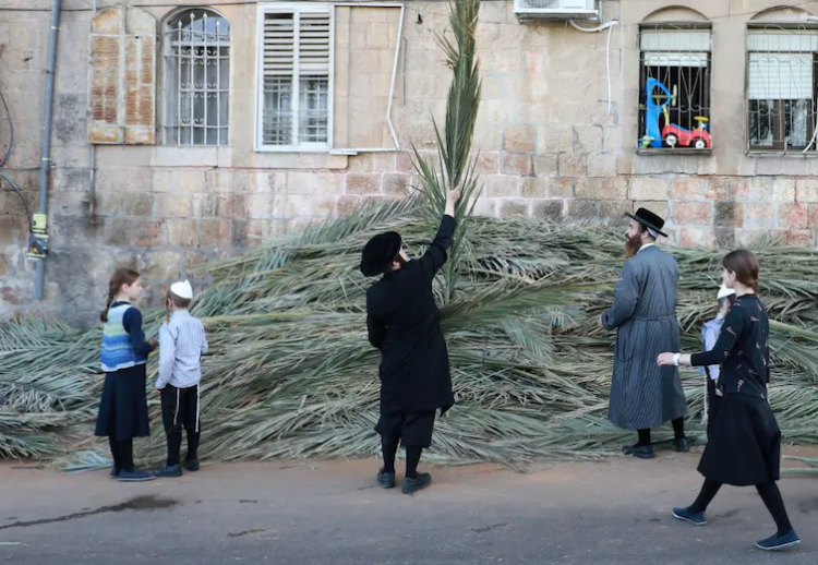 People picking palm branches for Sukkot in Jerusalem