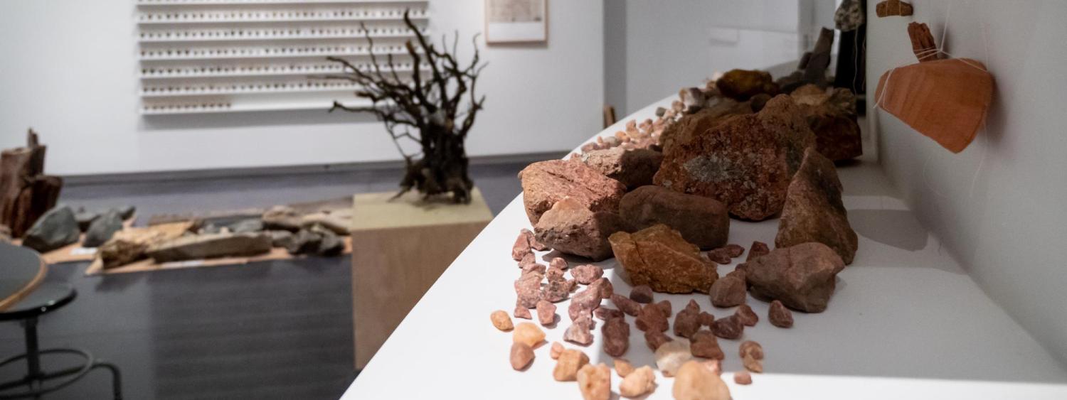 Exhibit of rocks at the Last Library 