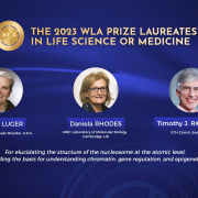 World Laureate Association award winners