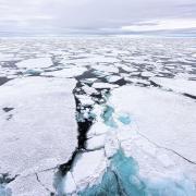 Polar Sea Ice