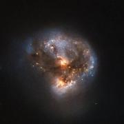 A nearby, young megamaser as seen by the Hubble Space Telescope