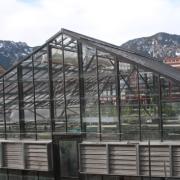 The greenhouse on the roof of the Ramaley Biology building is partly obscured from view at ground level. Up on the roof, it enjoys the full benefit of those famous 300 days of Boulder sunshine annually. Photo by Laura Kriho.