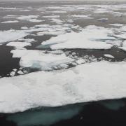 Arctic sea ice