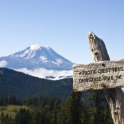 Pacific crest trail